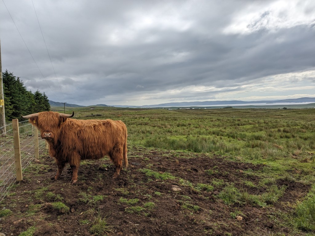 Camping Trip to Isle of&nbsp;Skye